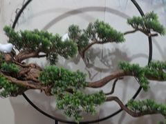 -香山湖渔家大院