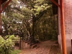 android_upload_pic-小竹林农庄