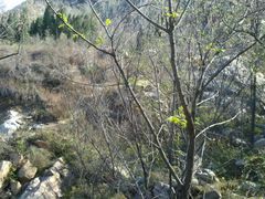 -封龙山风景区
