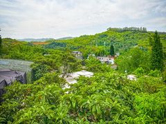 -桃源山庄·水蜜桃采摘·柴火鸡·烧烤团建(龙泉山店)