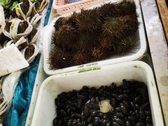 -南沙十九涌渔人码头-南门