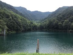-龙坞茶村