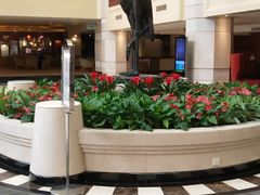 -武汉新华大饭店