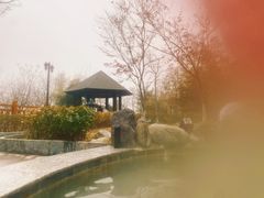 -金隅凤山酒店
