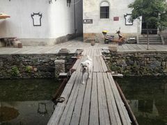 -绩溪龙川景区