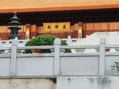 -深圳仙湖植物园