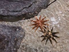 -福州罗源湾海洋世界旅游区