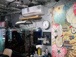 -MDZ STORE·TATTOO·耳饰
