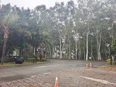 -福建鲤鱼洲酒店