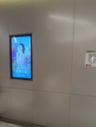 -深圳米兰柏羽医疗美容医院