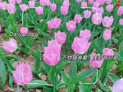 -石家庄市植物园