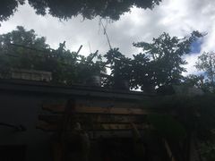 -铃木食堂(帽儿胡同店)