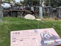 -武汉动物园