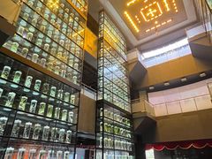 -广东中医药博物馆