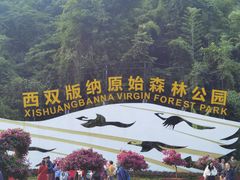 -西双版纳原始森林公园
