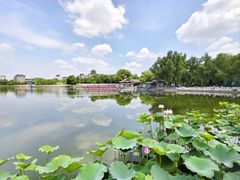 -莲花池公园