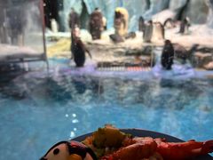 -帝企鹅自助餐厅•儿童岛•真企鹅(长隆企鹅酒店)