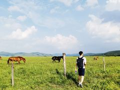 -塞罕坝国家级自然保护区