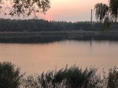 -丁香湖公园