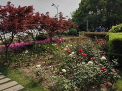 -北外滩滨江绿地