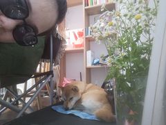 -About Bistro關於·泰式家庭料理