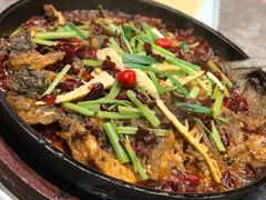 老板恋上鱼-老板恋上鱼(恒隆广场店)