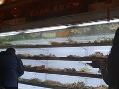 -镇江龙·火锅串串(武侯祠店)