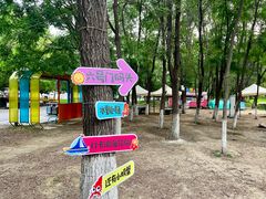 -长白岛森林公园