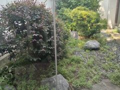 -走马楼饭庄(慈城古县城店)