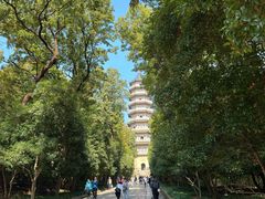 -灵谷景区