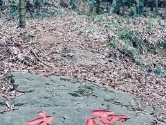 -穹窿山景区