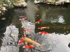 -鲤院·新中式美学·庭院餐厅(夫子庙店)