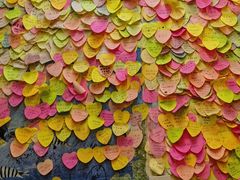 -阿信厚吐司(曾厝垵店)