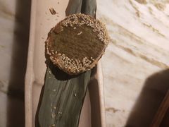 绿茶饼-绿茶餐厅(乐峰广场店)