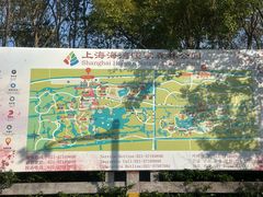 -上海海湾国家森林公园