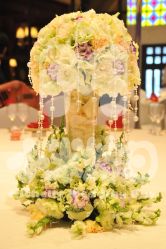 -M'S BANQUET AND SPACE ART