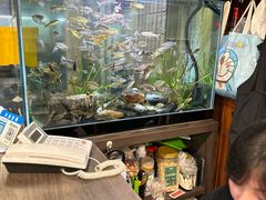 -益寿炖品店