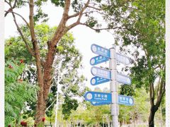 -玉树公园