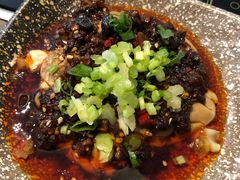 -苏州金科大酒店
