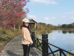 -田野绿世界