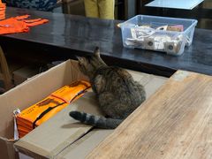 -龙华素斋(龙华路店)