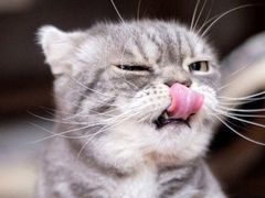 -米二红烧兔(华阳店)