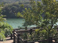 -白马涧龙池景区