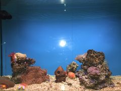 iphone_upload_pic-北戴河圣蓝海洋公园