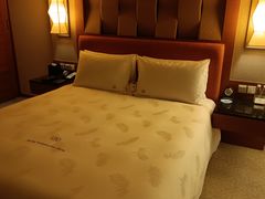 -惠州康帝国际酒店