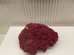 -青岛贝壳博物馆