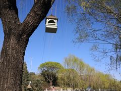 -元大都城垣遗址公园