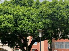 -厦门大学(思明校区)