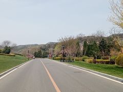 -棒棰岛宾馆景区