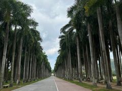 -南宁花花大世界景区